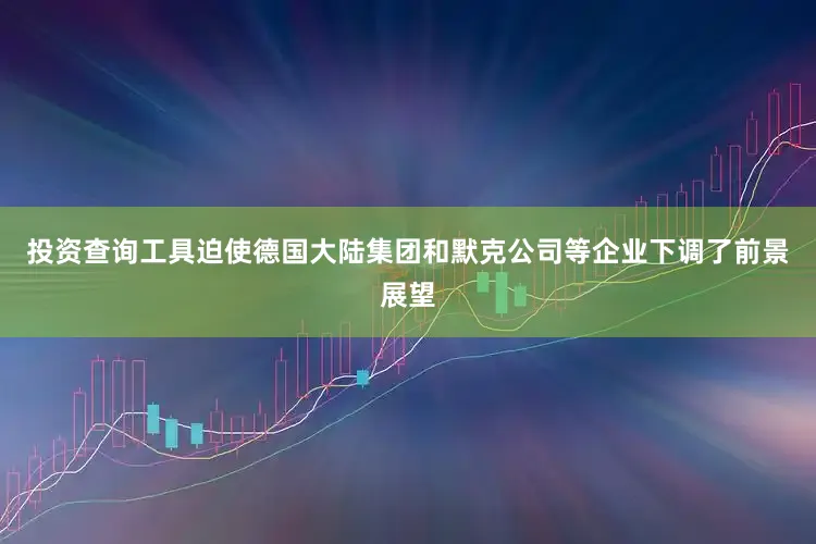 投资查询工具迫使德国大陆集团和默克公司等企业下调了前景展望