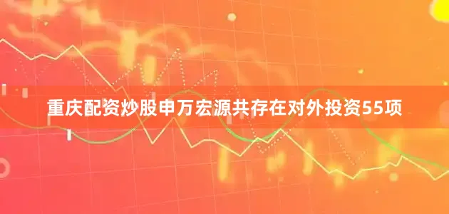 重庆配资炒股申万宏源共存在对外投资55项