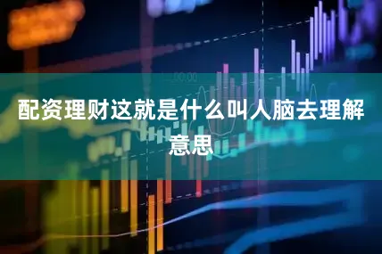 配资理财这就是什么叫人脑去理解意思