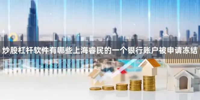 炒股杠杆软件有哪些上海睿民的一个银行账户被申请冻结