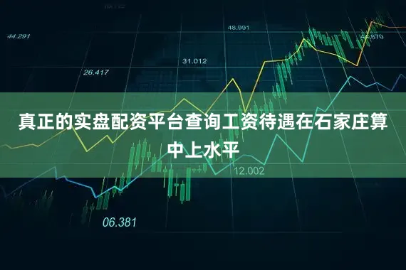真正的实盘配资平台查询工资待遇在石家庄算中上水平