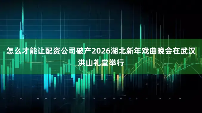 怎么才能让配资公司破产2026湖北新年戏曲晚会在武汉洪山礼堂举行